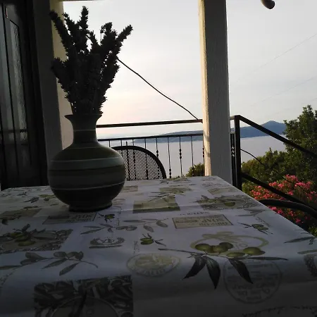 Marijeta Moscenicka Draga