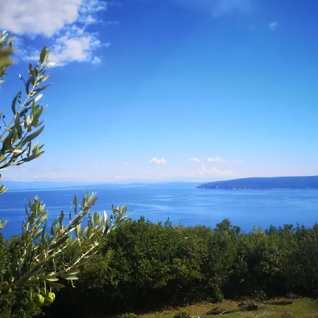 Marijeta Moscenicka Draga