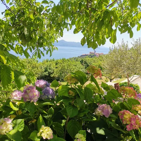Marijeta Apartment Moscenicka Draga