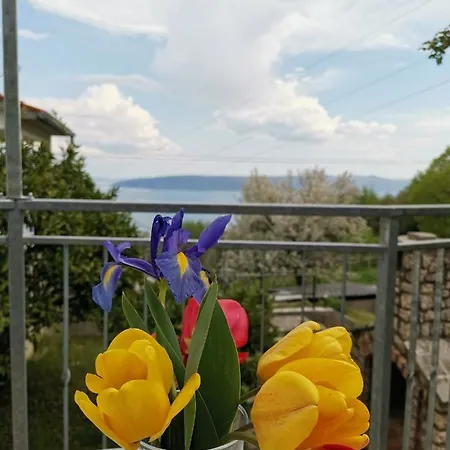 Marijeta *